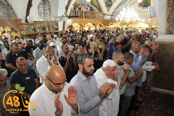 3eed kaber yaffa (1).JPG